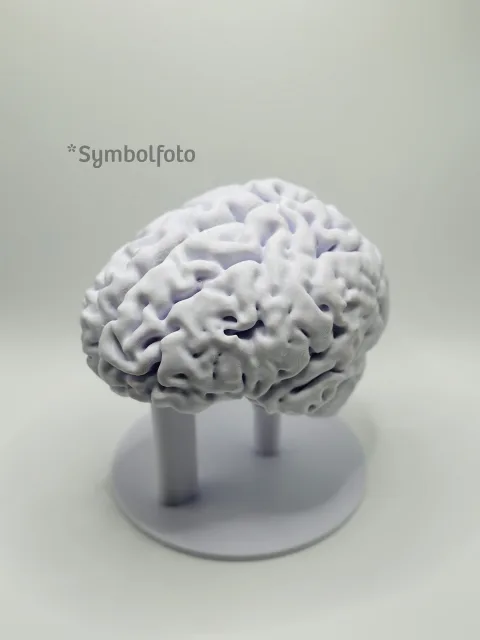 Personalised 3D print of your own life-size brain | MRI data