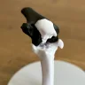 IMG_9523