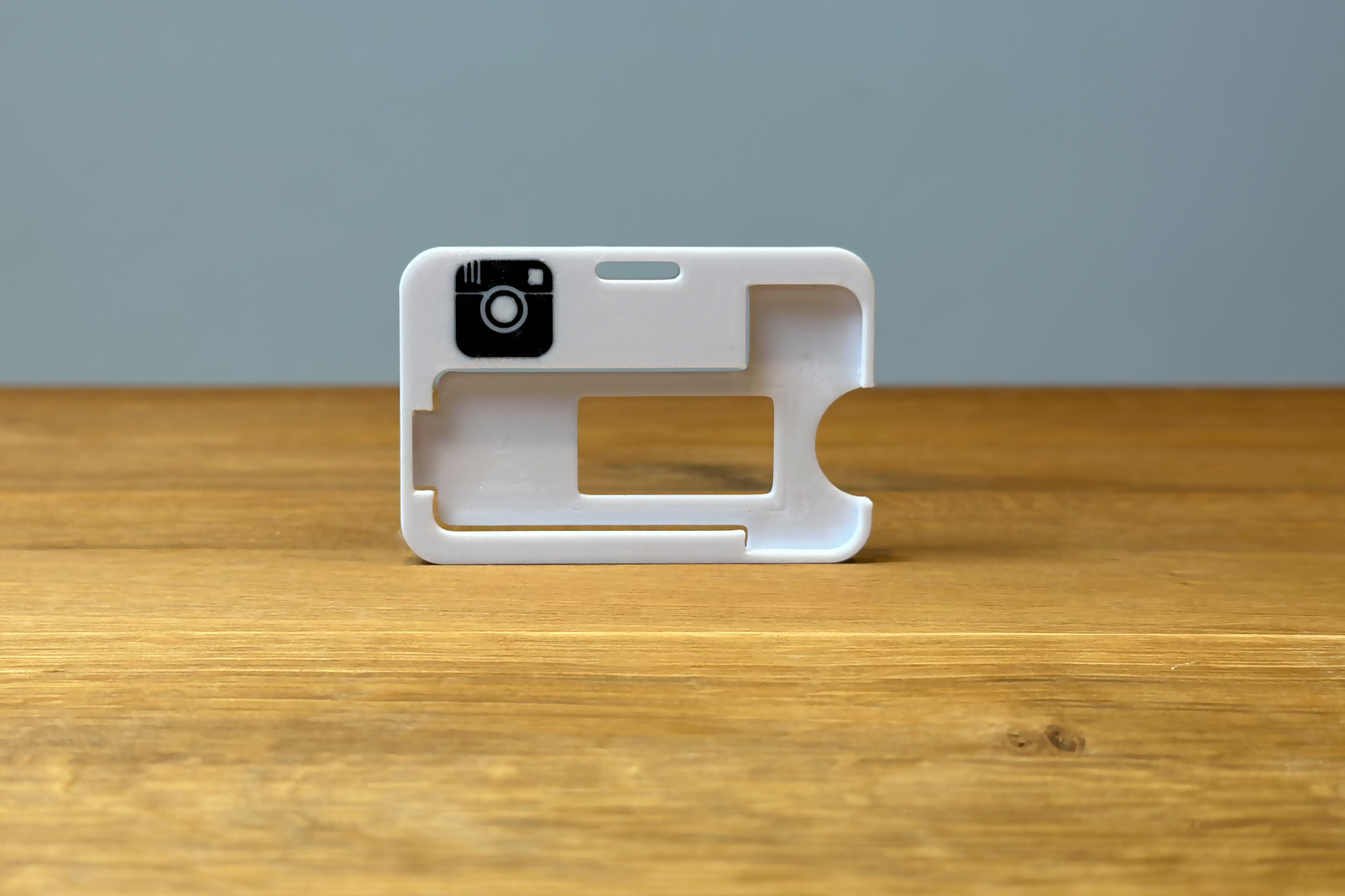 Camera carrier frame