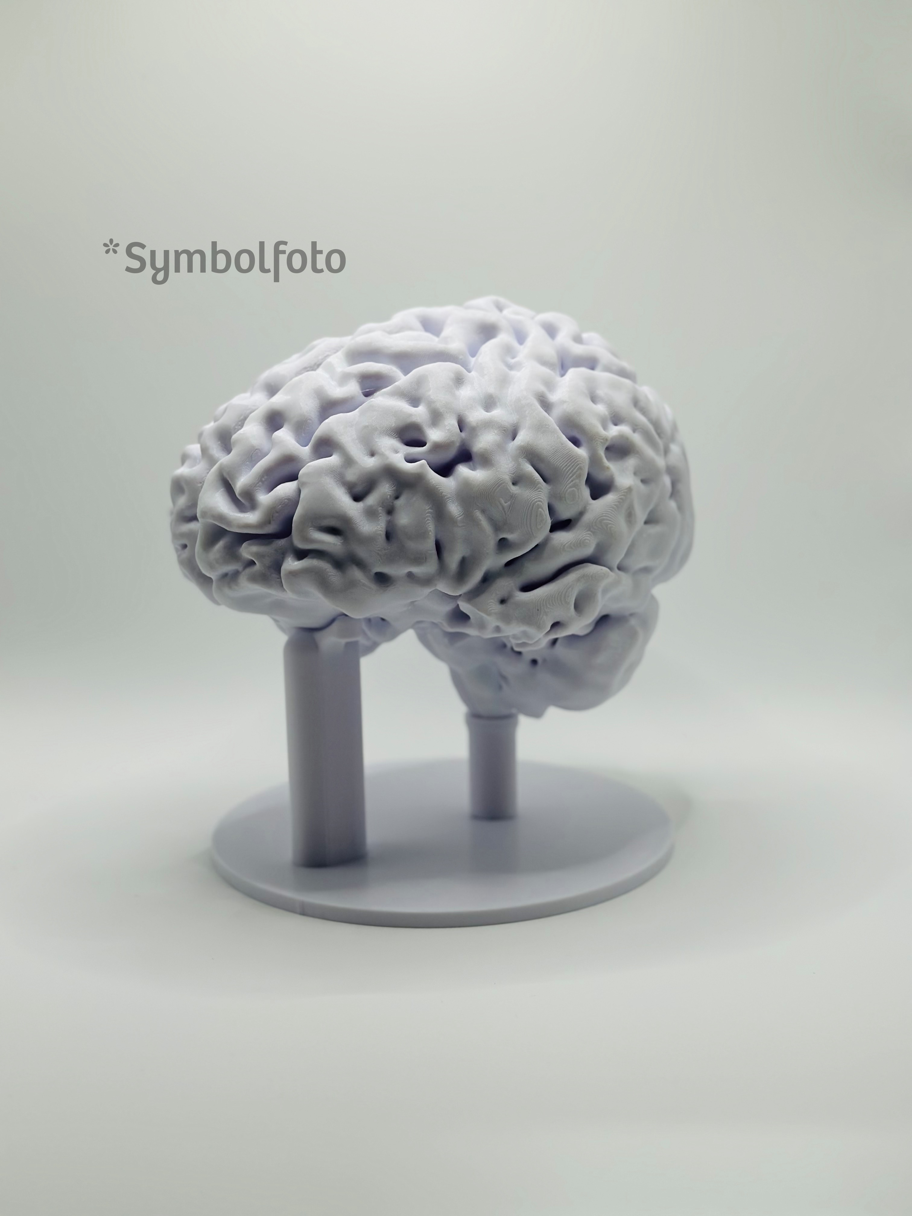 Personalised 3D print of your own life-size brain | MRI data | Unique scientific art